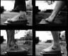 Sneakers for free - Large format contact sheet